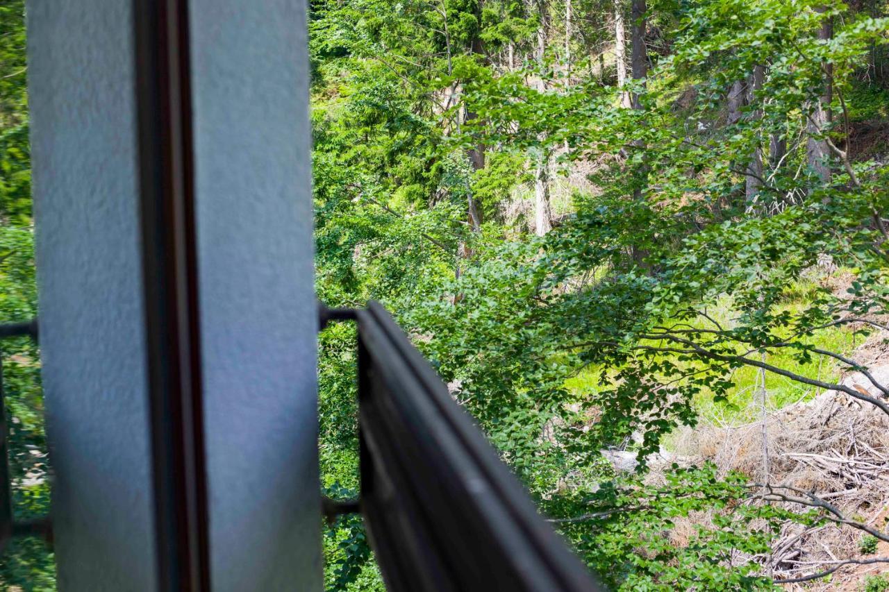 Forest Dream Apartment - Elit Pamporowo Exterior foto